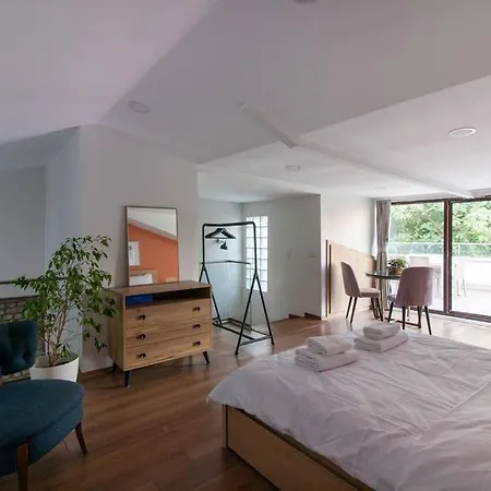 דירה Bright Loft With 3 Bedrooms And Terrace In Galata איסטמבול