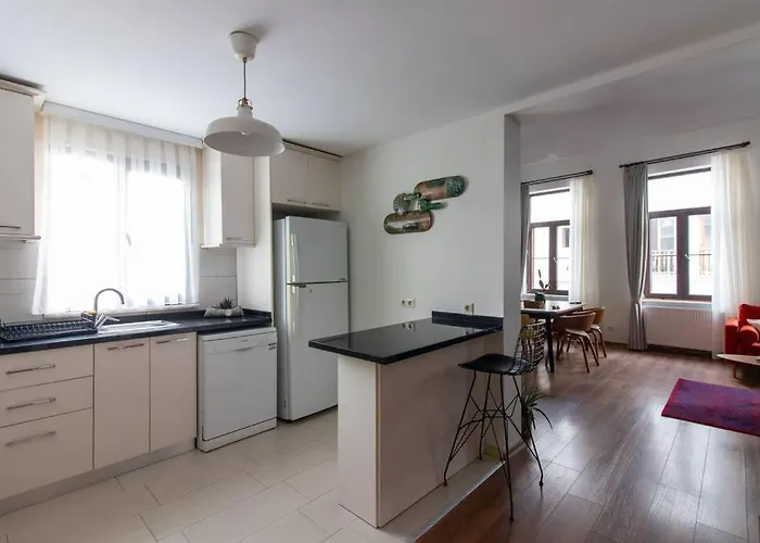 Apartmán Bright Loft With 3 Bedrooms And Terrace In Galata Istanbulská provincie