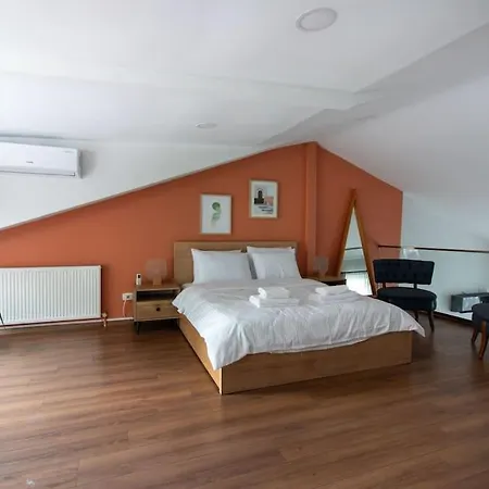 דירה Bright Loft With 3 Bedrooms And Terrace In Galata איסטמבול