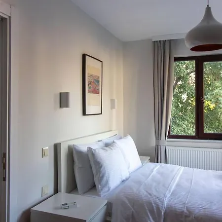 Bright Loft With 3 Bedrooms And Terrace In Galata דירה *