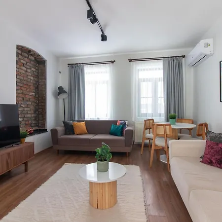 Bright Loft With 3 Bedrooms And Terrace In Galata Апартаменты